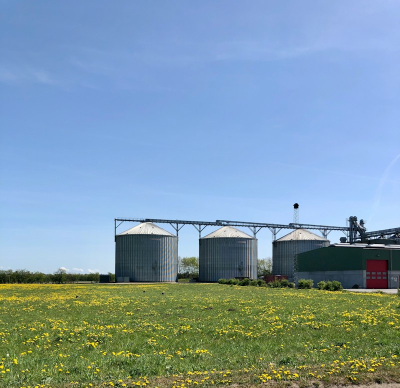 Bucket Elevator